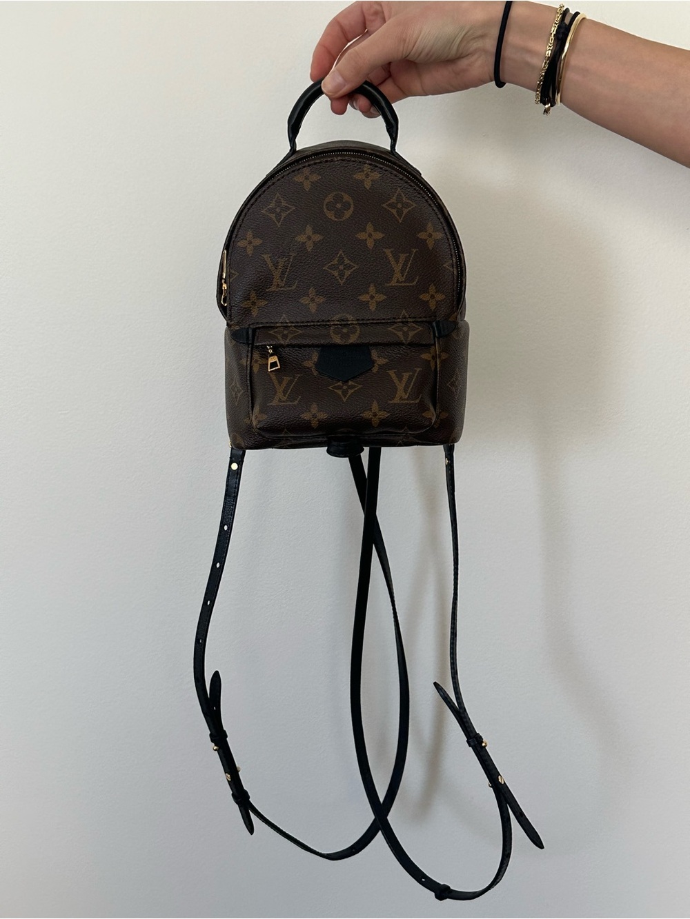 Louis Vuitton Palm Springs Mini Backpack - Picture 15 of 16